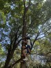 Thumbs/tn_2024-10-22 12 27 42.jpg